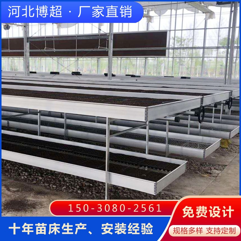 \W(wng)ƬpƄ(dng)紲